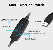 Load image into Gallery viewer, 26cm/10.0 Inch LED Ring Light, Dimmable, 3 Color Modes USB Powered with Lazy Spring Desktop Arm