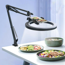 Load image into Gallery viewer, 26cm/10.0 Inch LED Ring Light, Dimmable, 3 Color Modes USB Powered with Lazy Spring Desktop Arm