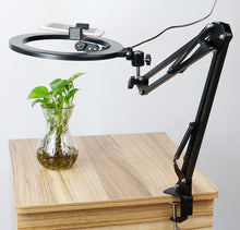 Load image into Gallery viewer, 26cm/10.0 Inch LED Ring Light, Dimmable, 3 Color Modes USB Powered with Lazy Spring Desktop Arm