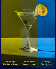 Load image into Gallery viewer, RGB Handheld LED Video Light Wand Stick Photography 4000mAh Battery With APP Remote Control 1000 Lumens Adjustable 3200K-9000K