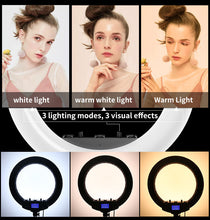 Load image into Gallery viewer, 56CM/22 Inch LED Ring Light, 3 Color Dimmable, with Remote & Tripod Stand Extendable to 2.1 Meter