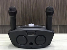 Load image into Gallery viewer, OWL SDRD SD-306 Portable Family Karaoke System Condenser Wireless Stereo Bluetooth Speaker Set With Dual Wireless Microphones