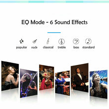 Load image into Gallery viewer, OWL SDRD SD-306 Portable Family Karaoke System Condenser Wireless Stereo Bluetooth Speaker Set With Dual Wireless Microphones