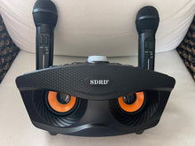 Load image into Gallery viewer, OWL SDRD SD-306 Portable Family Karaoke System Condenser Wireless Stereo Bluetooth Speaker Set With Dual Wireless Microphones