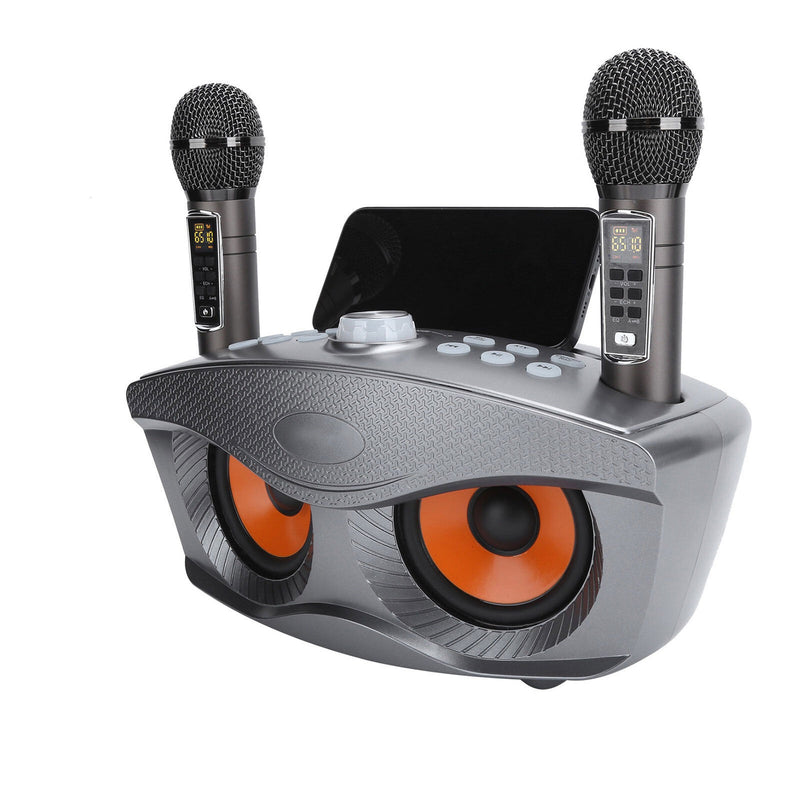 SDRD 306 Plus Owl Wireless Bluetooth Speaker With 2 Microphones Home Karaoke PA Stereo USB Subwoofer