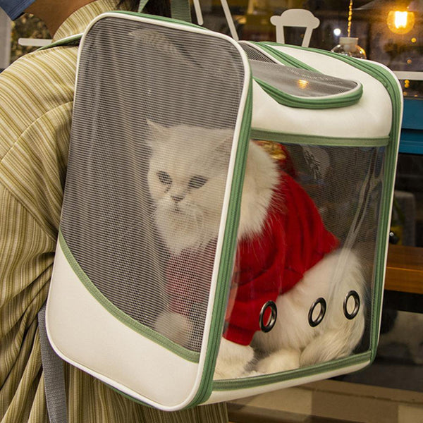 Shoulder Backpack Carrier Portable Pet Travel Carrier Ventilate Transparent (35*27*40cm)