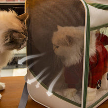 Load image into Gallery viewer, Shoulder Backpack Carrier Portable Pet Travel Carrier Ventilate Transparent (35*27*40cm)
