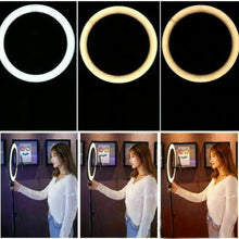 Load image into Gallery viewer, 26cm/10.0 Inch LED Ring Light, Dimmable, 3 Color Modes USB Powered with Lazy Spring Desktop Arm
