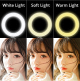 26cm/10" LED Ring Light, Dimmable, 3 Colour Modes USB Powered with Flexible Extendable Desk Stand