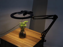 Load and play video in Gallery viewer, 26cm/10.0 Inch LED Ring Light, Dimmable, 3 Color Modes USB Powered with Lazy Spring Desktop Arm

