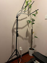 Full Spectrum (Blue, Red & White) 80 LEDs Grow Lights & Tripod Stand 2.1 Meter ,4 Heads Dimmable 4/8/12H Remote