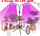 Full Spectrum (Blue, Red & White) 80 LEDs Grow Lights & Tripod Stand 2.1 Meter ,4 Heads Dimmable 4/8/12H Remote