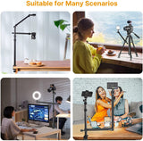 Flexible Arm Auxiliary Holding Arm, Detachable 2-Section Magic Arm for Camera Desk Mount, Lights