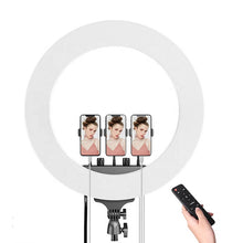 Load image into Gallery viewer, 56CM/22 Inch LED Ring Light, 3 Color Dimmable, with Remote &amp; Tripod Stand Extendable to 2.1 Meter
