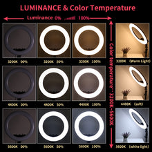 Load image into Gallery viewer, 56CM/22 Inch LED Ring Light, 3 Color Dimmable, with Remote &amp; Tripod Stand Extendable to 2.1 Meter
