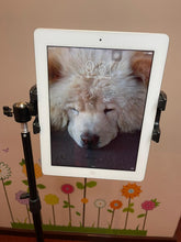 Load image into Gallery viewer, Foldable Portable Sturdy Floor Stand for Phone Tablet Camera &amp; Microphone Holder Height up to 2.1 Meter
